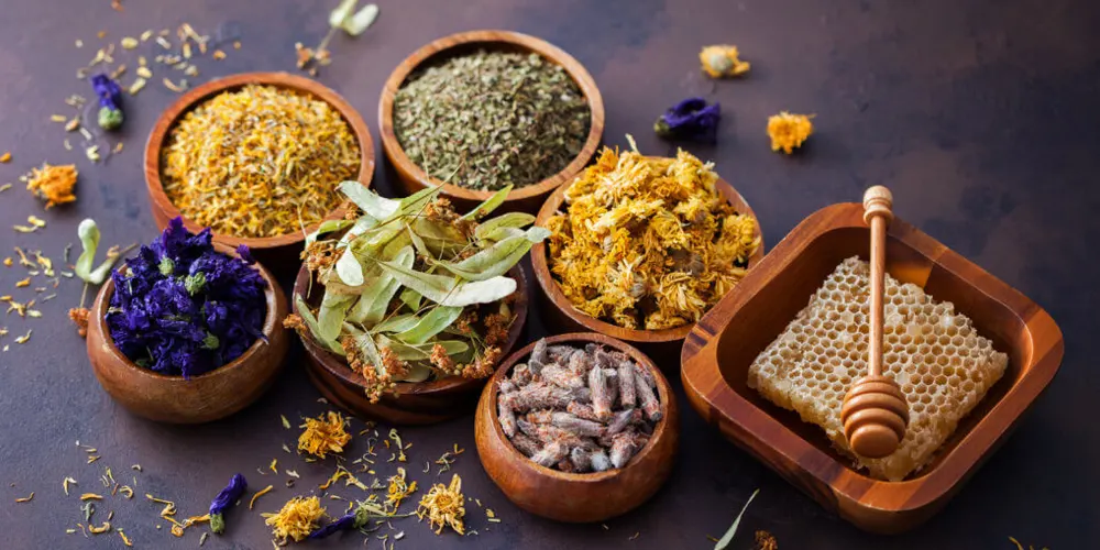 NATUROPATHY